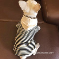 Hhot petit chien assorti des vêtements de chien et de propriétaire